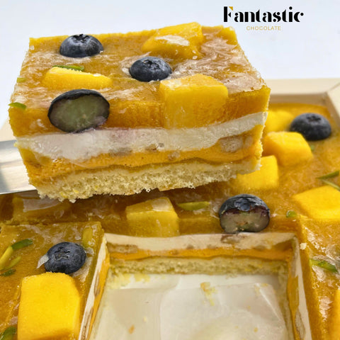 Mango Ice Cream Cake Small