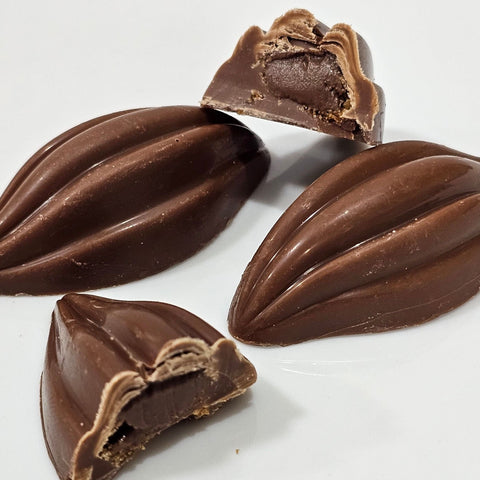 Cocoa Beans Chocolate - Fantastic Chocolate