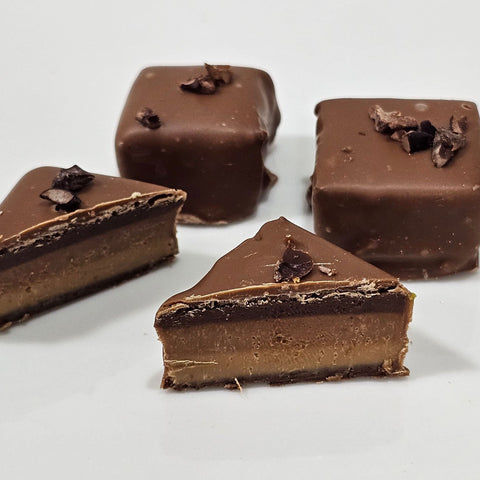 Gianduja Chocolate - Fantastic Chocolate