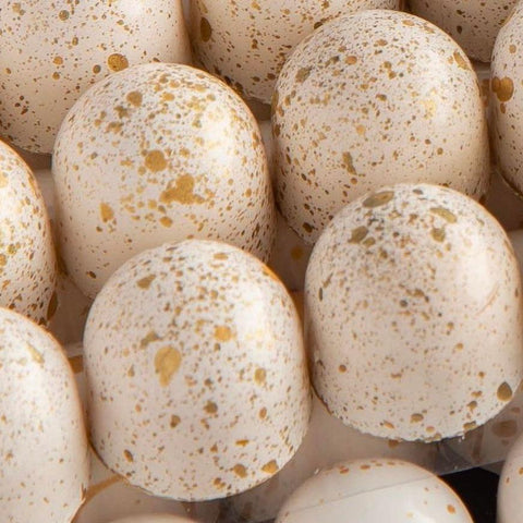 Tray of White and Gold Chocolate - Fantastic Chocolate