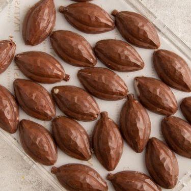 Tray of Leaves-shaped Chocolate - Fantastic Chocolate