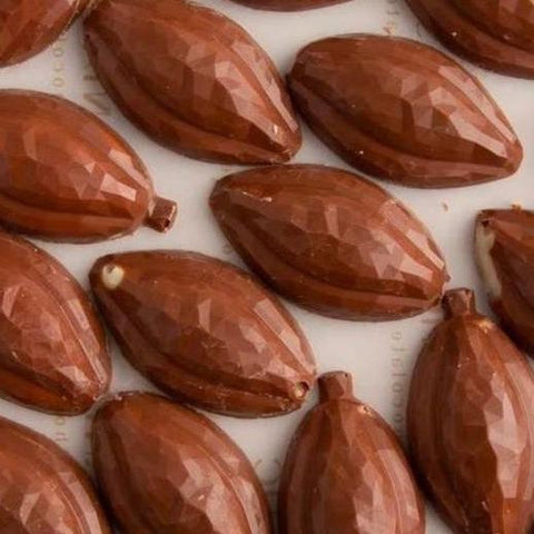 Tray of Leaves-shaped Chocolate - Fantastic Chocolate
