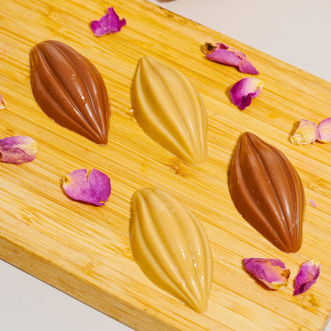 Chocolate Seed Shaped Chocolate Dish - Fantastic Chocolate