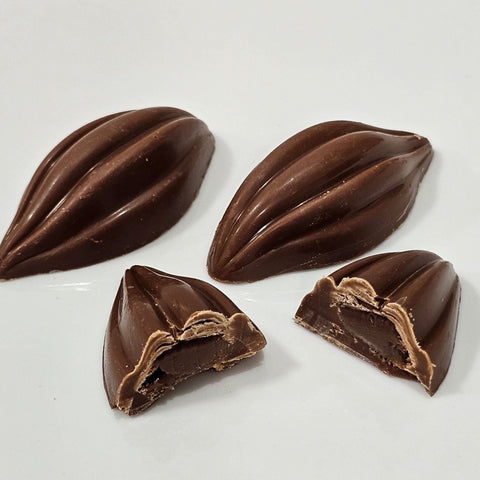 Cocoa Beans Chocolate - Fantastic Chocolate