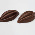 Cocoa Beans Chocolate - Fantastic Chocolate