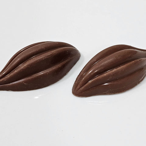 Cocoa Beans Chocolate - Fantastic Chocolate