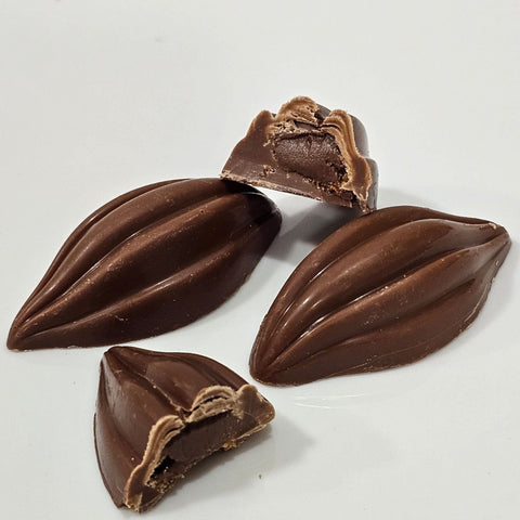 Cocoa Beans Chocolate - Fantastic Chocolate