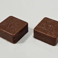 Crunchy Pecan Caramel Chocolate - Fantastic Chocolate