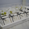 Gift Chocolate Box - Fantastic Chocolate