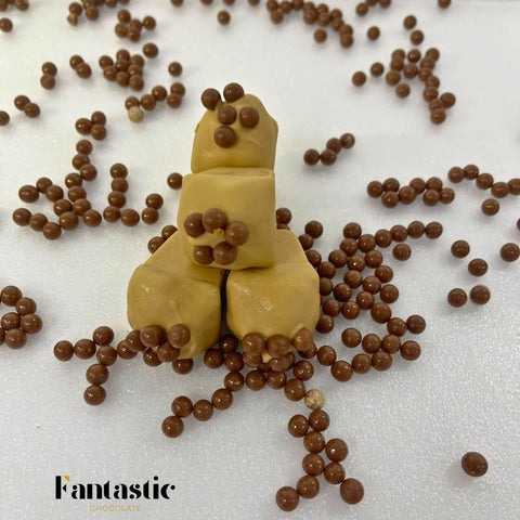 Ice Cream Ball - Fantastic Chocolate