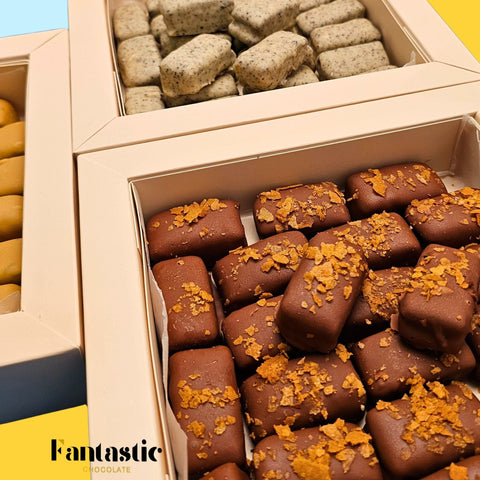 Ice Cream Biscuit Combo Box - Fantastic Chocolate