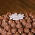 Mastic Chocolate - Fantastic Chocolate