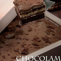 Chocolamo Cake with Vanilla Ice Cream - Fantastic Chocolate