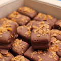 Chocolate Ice Cream Biscuit Box - Fantastic Chocolate