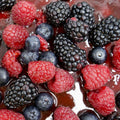 Raspberry Cheesecake - Fantastic Chocolate