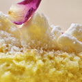 Saffron Cake - Fantastic Chocolate