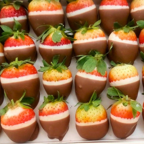 Strawberries Chocolate Box - Fantastic Chocolate