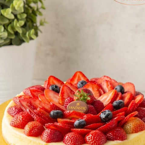 Strawberry Cheesecake - Fantastic Chocolate