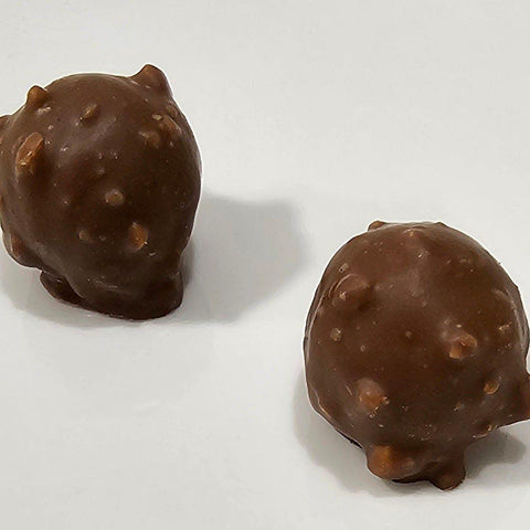 Praline Hazelnut Chocolate - Fantastic Chocolate
