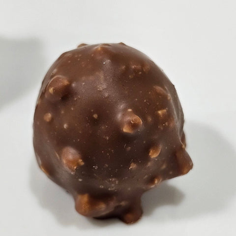 Praline Hazelnut Chocolate - Fantastic Chocolate