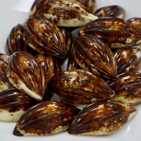 Raffaello Stuffed Marble Coated Chocolate - Fantastic Chocolate