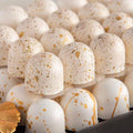 White and Gold Chocolate - Fantastic Chocolate